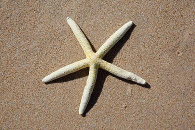 《全面战争：战锤3》纳垢VS色孽宣传片 2月17日正式发售